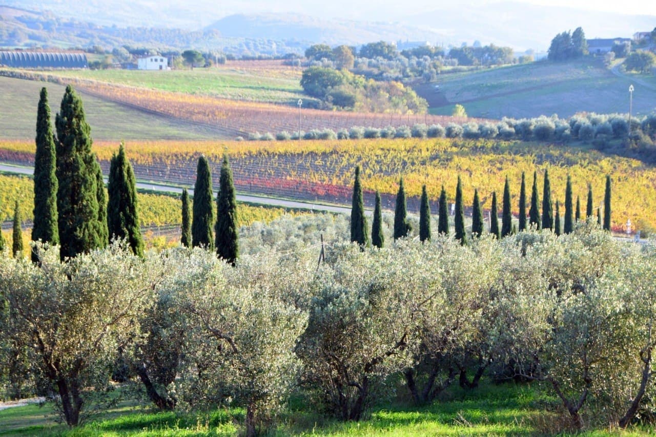 Toscana: mult mai mult decât o regiune a vinului